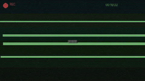 清晨公园散步 - 91大神 日常记录